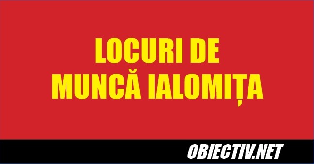 locuri de munca