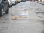 gropa tantica ziua 2 1 slobozia