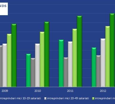 Evolutia salariului mediu net in functie de marimea intreprinderii
