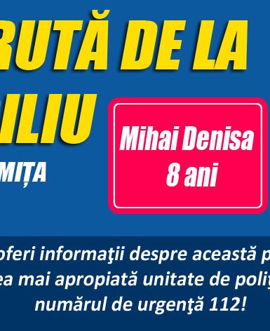 persoane disparute mihai denisa fetesti