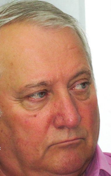 viorel nica