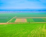 agricultura-landscape-fields