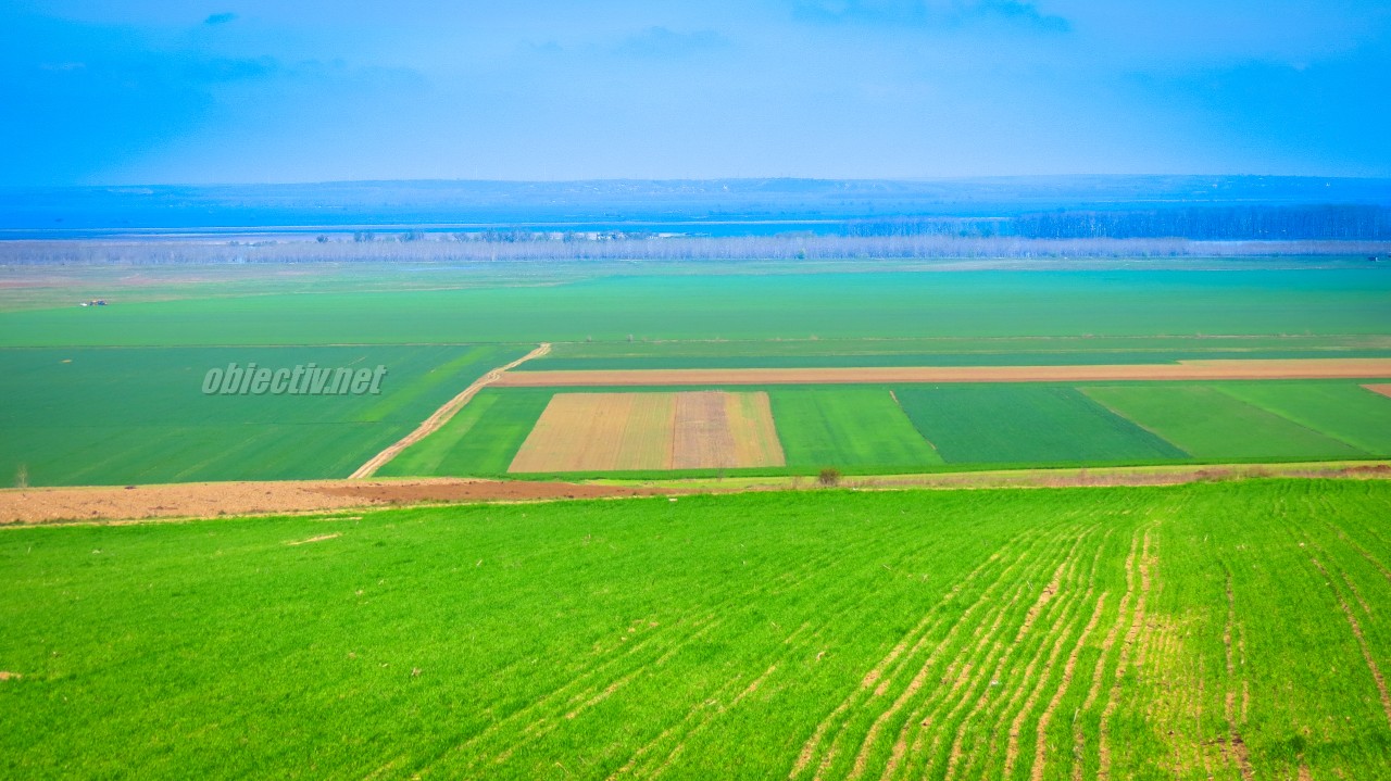 agricultura-landscape-fields