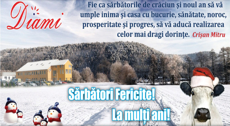 Feli Diami Craciun