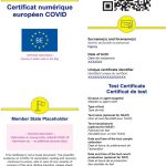 certificat covid - Propunere Document Testare