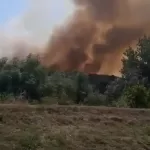 Incendiu Vegetatie Bora