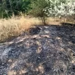 Incendiu Marculesti (2)