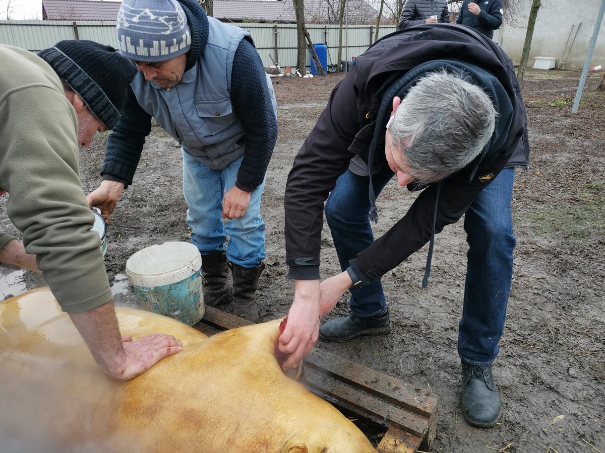 Sacrificare Traditionala Porc La Garbovi 12