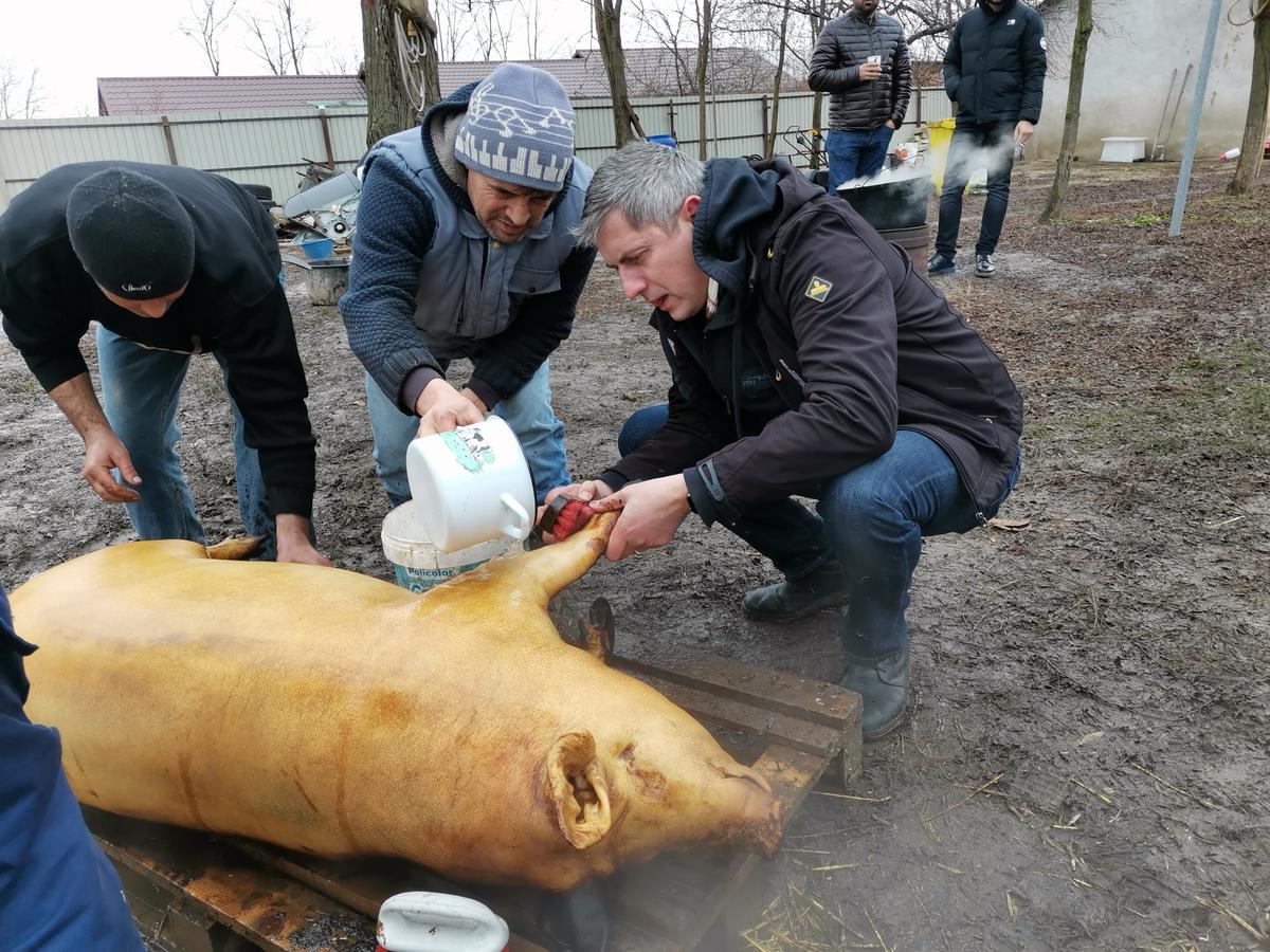 Sacrificare Traditionala Porc La Garbovi 13