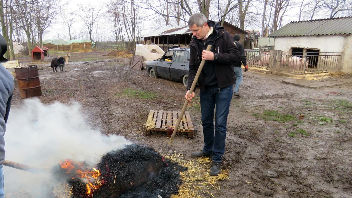 Sacrificare Traditionala Porc La Garbovi 21
