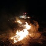 Incendiu Vegetatie Uscata Tandarei