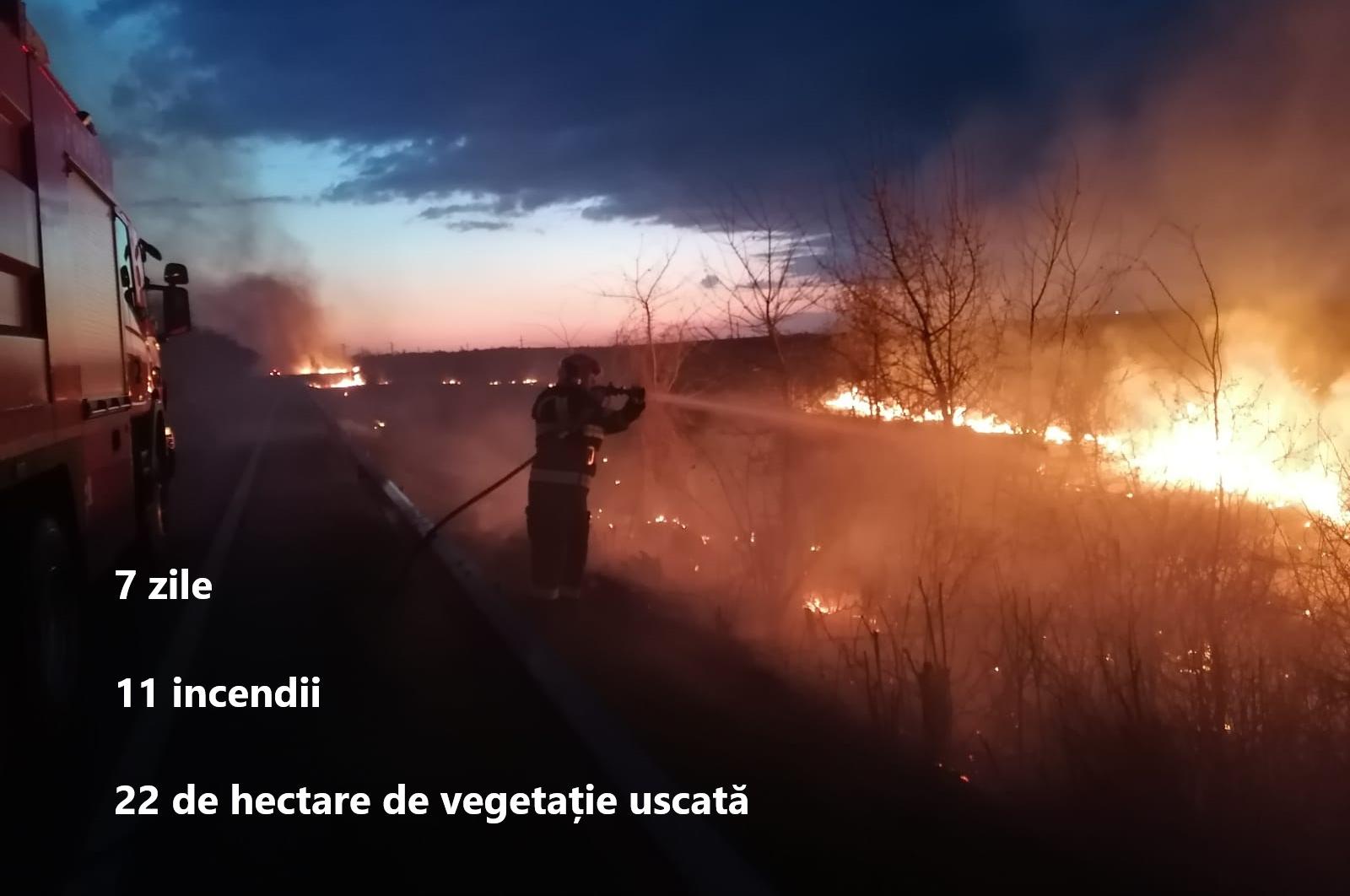 Incendii Vegetatie