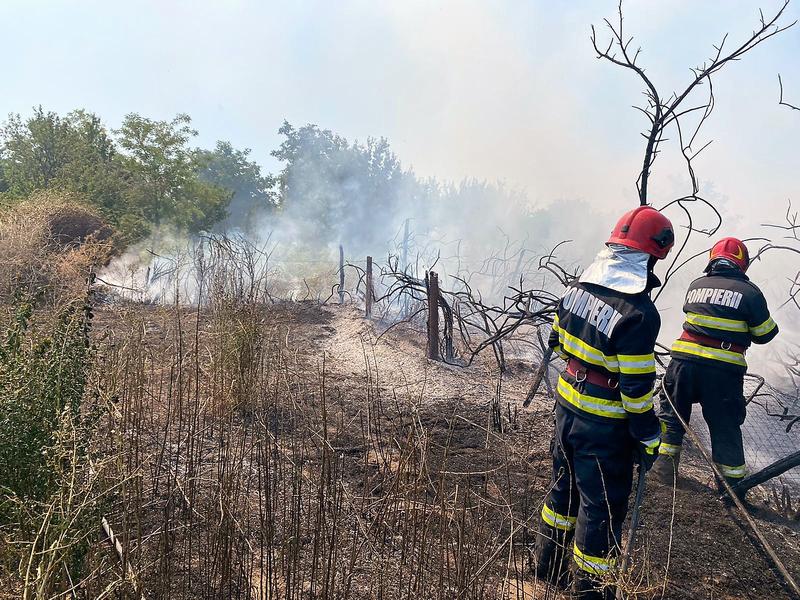 Incendiu Vlădeni 2