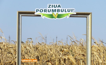 Ialomița: Se pregătește ediția a XV-a a Zilei Porumbului. Conferință națională dedicată managementului riscurilor în agricultură.