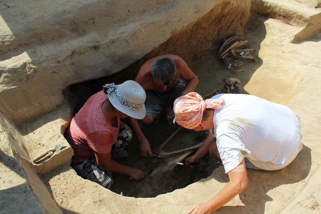 Descoperire Arheologica - Saveni La Movile - 06