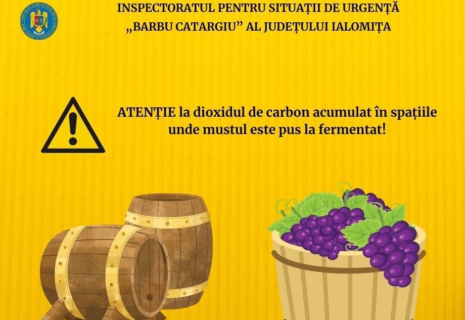 Dioxid De Carbon Fementare Must