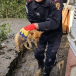 Isu Ialomita - Inundatii Galati 05