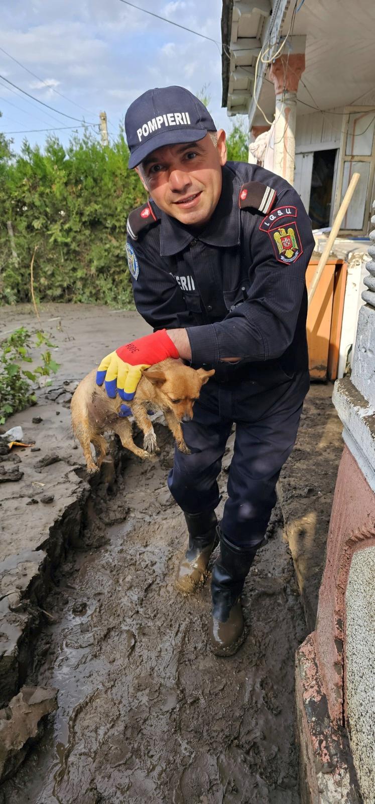 Isu Ialomita - Inundatii Galati 05