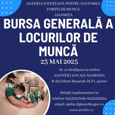 Bursa Generala A Locurilor De Munca1