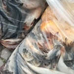 Flagrant Slobozia Marfa Confiscata