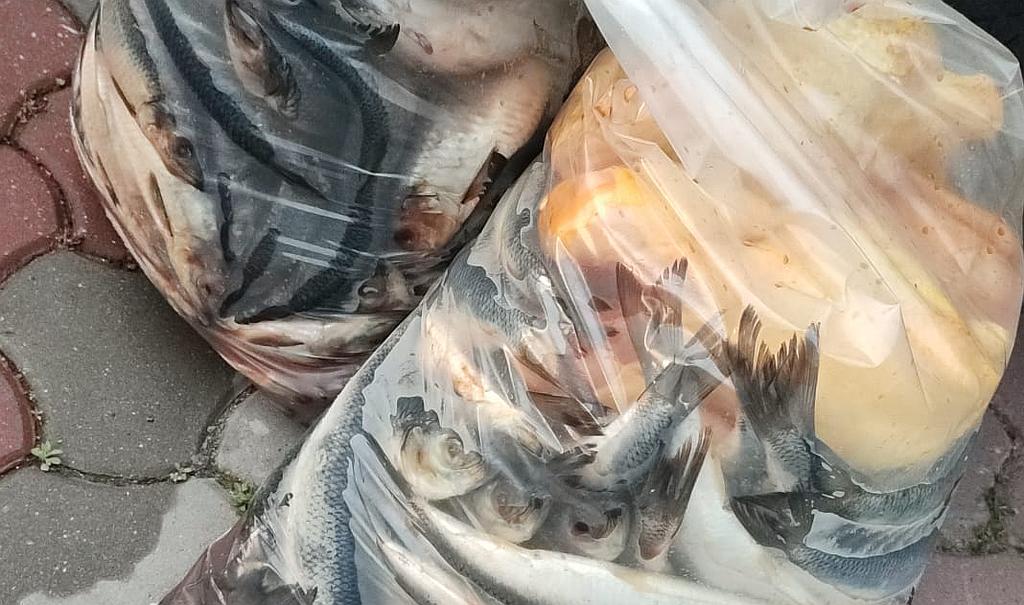 Flagrant Slobozia Marfa Confiscata