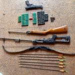 Perchezitii Ialomita Arme
