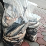 Peste Confiscat (1)