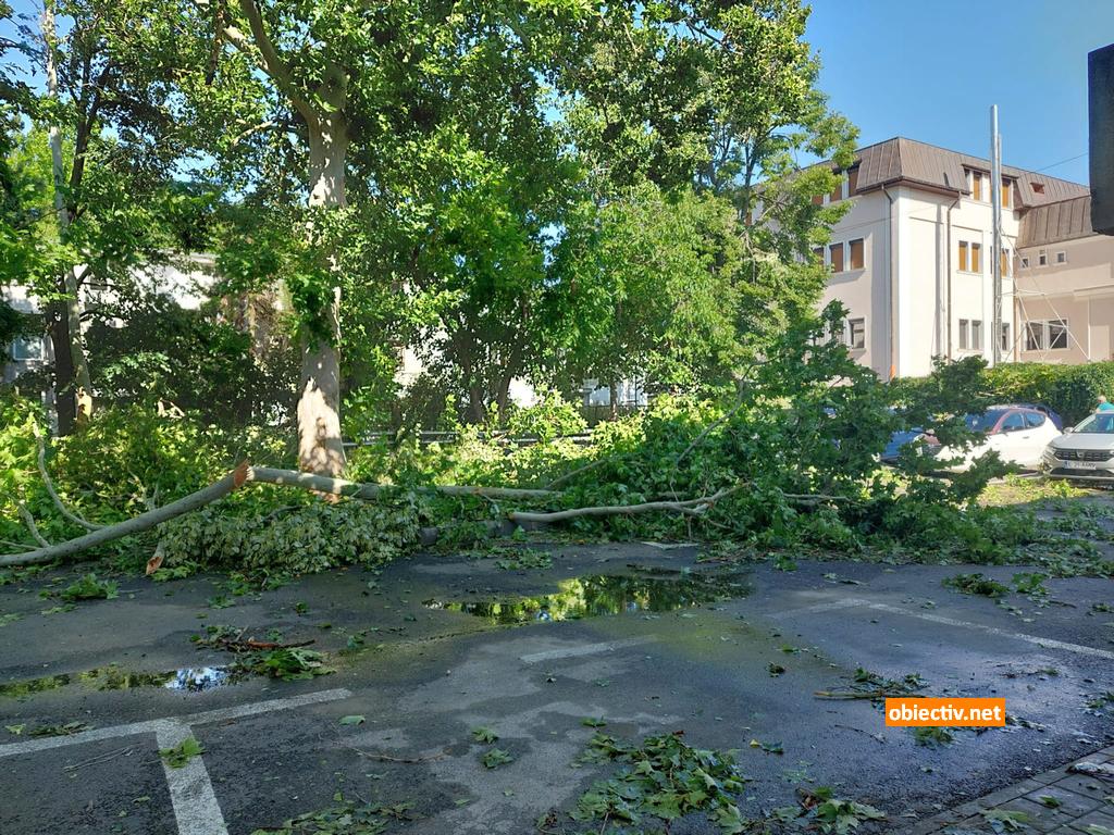 Furtuna La Slobozia - 01