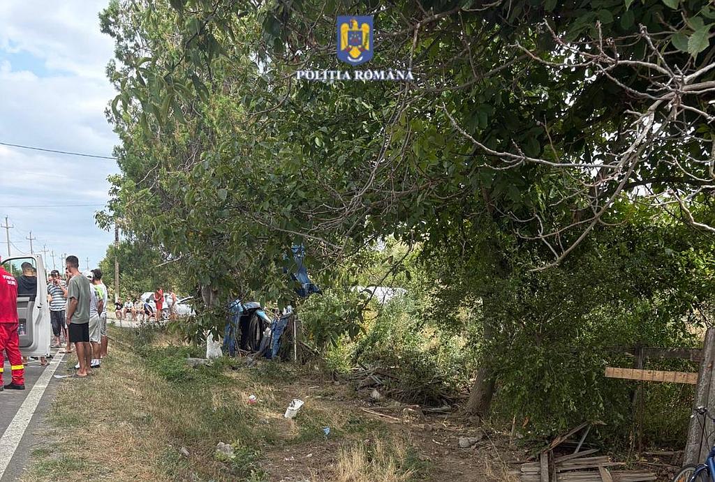 Acident Axintele (4)
