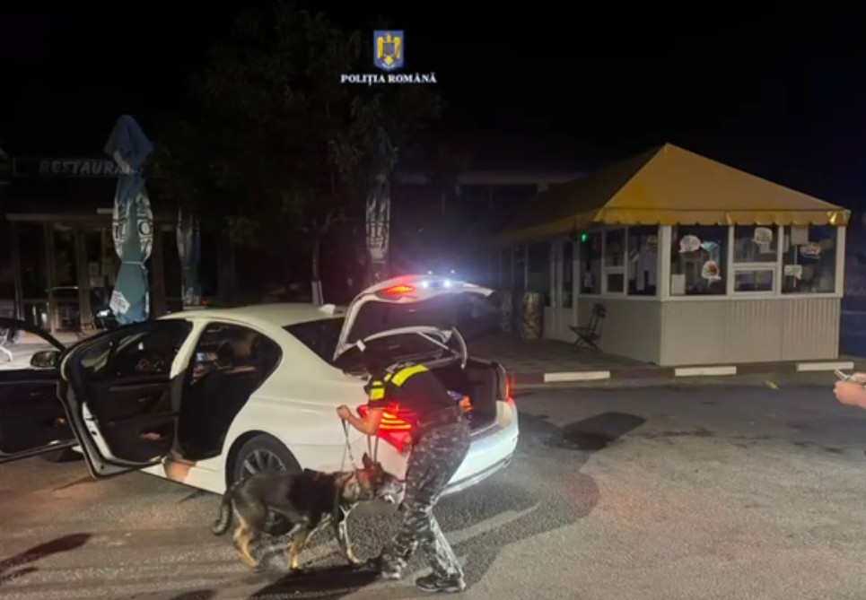 Actiuni Politie Tandarei