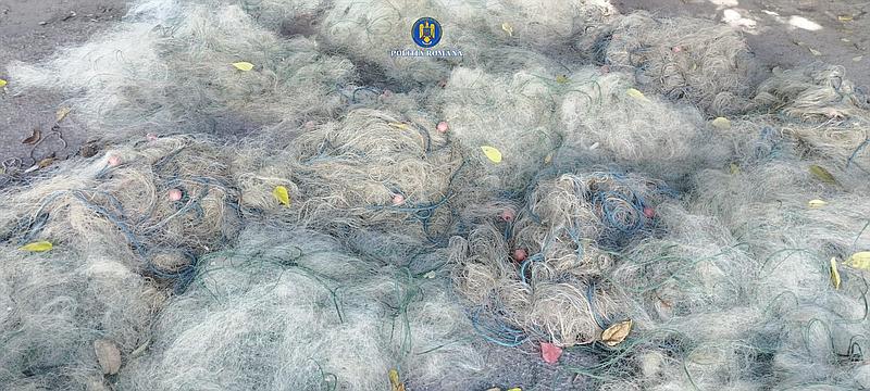 Braconaj Piscicol Ialomita 3