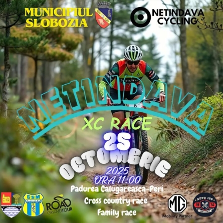 Netindava