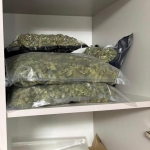 Perchezitii Droguri - 003