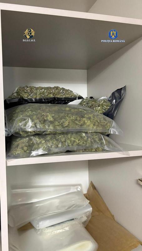 Perchezitii Droguri - 003