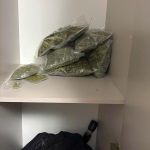 Perchezitii Droguri - 004