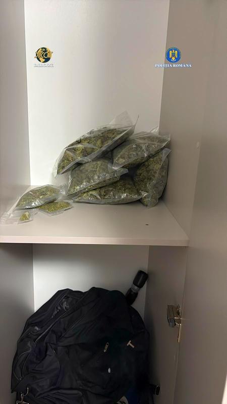 Perchezitii Droguri - 004