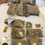 Perchezitii Droguri - 009