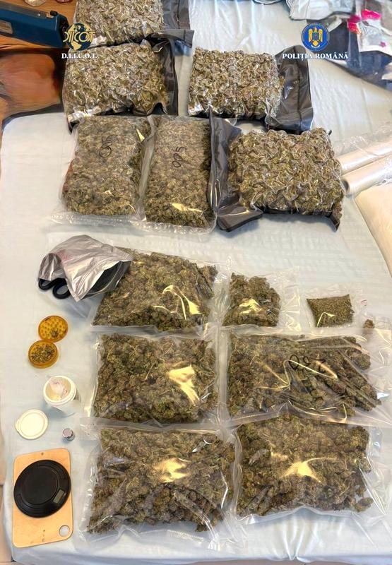 Perchezitii Droguri - 009