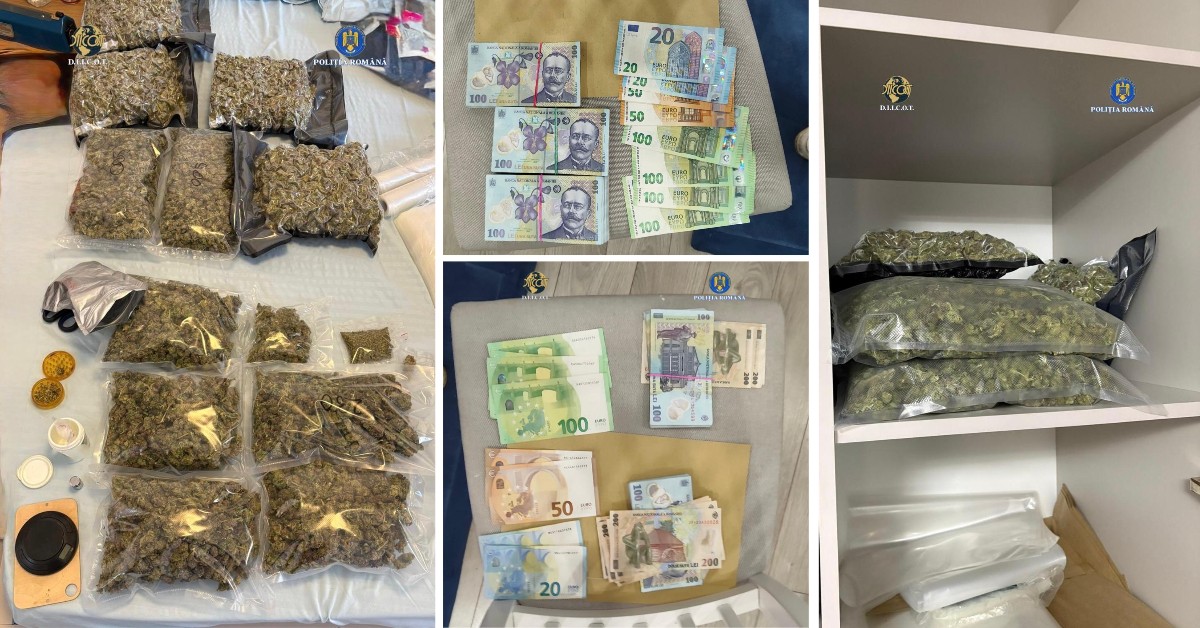 Perchezitii Trafic Droguri