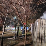 Incendiu Cosambesti 3