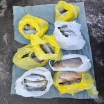 Peste Confiscat (1)