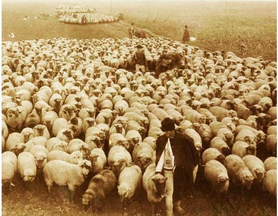 Expozitie Drumul Lanii