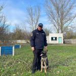 Luna Caine Serviciu Jandarmeria Ialomita (1)