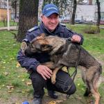 Luna Caine Serviciu Jandarmeria Ialomita (2)