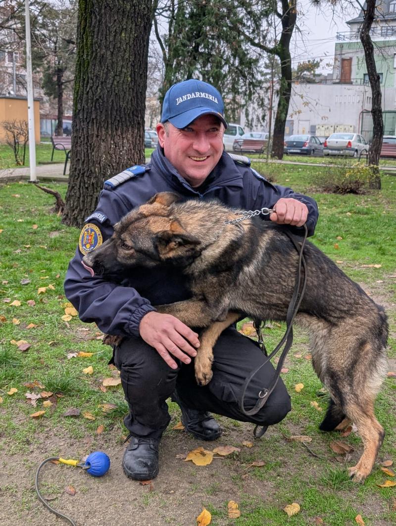 Luna Caine Serviciu Jandarmeria Ialomita (2)