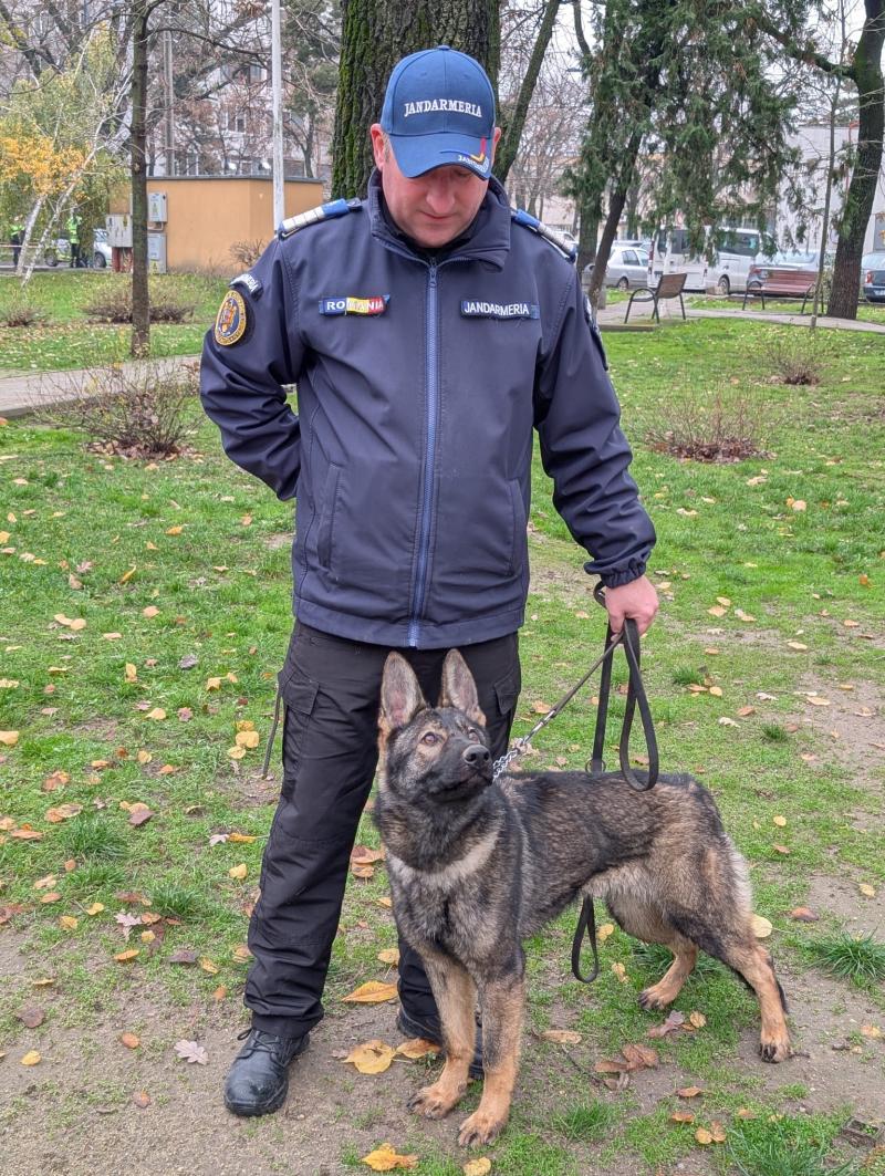 Luna Caine Serviciu Jandarmeria Ialomita (3)