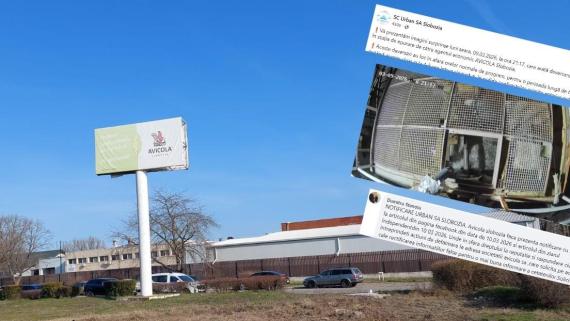 Avicola - Urban Slobozia