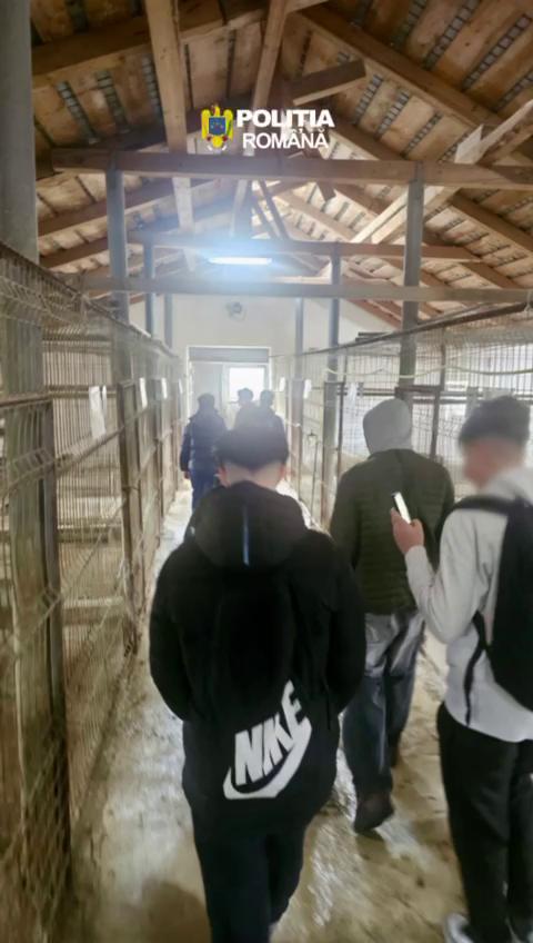 Foto- 01