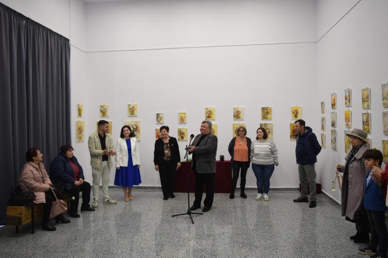 Muzeu Judetean Expozitie1