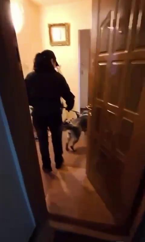Razie Perchezitii Urziceni - 12